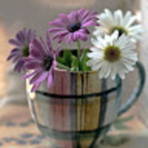 Meet your Posher, Dora